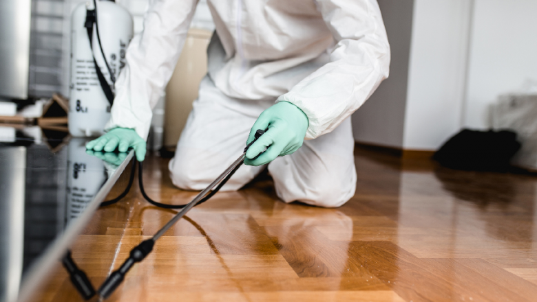 How To Choose Pest Control Experts