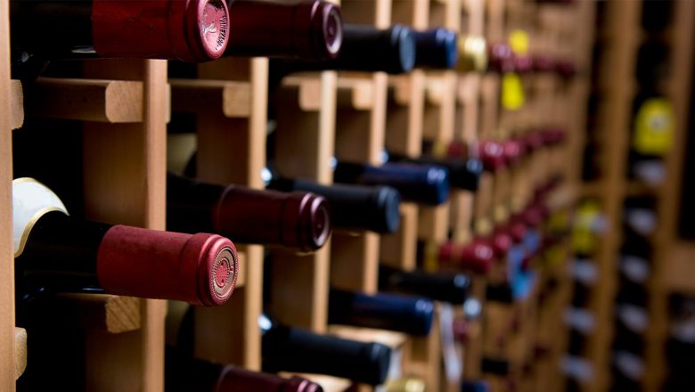 Everything You Should Know about Wine coolers: See before You Purchase