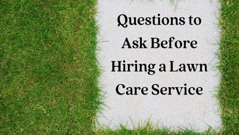 Questions to Ask Before Hiring a Lawn Care Service