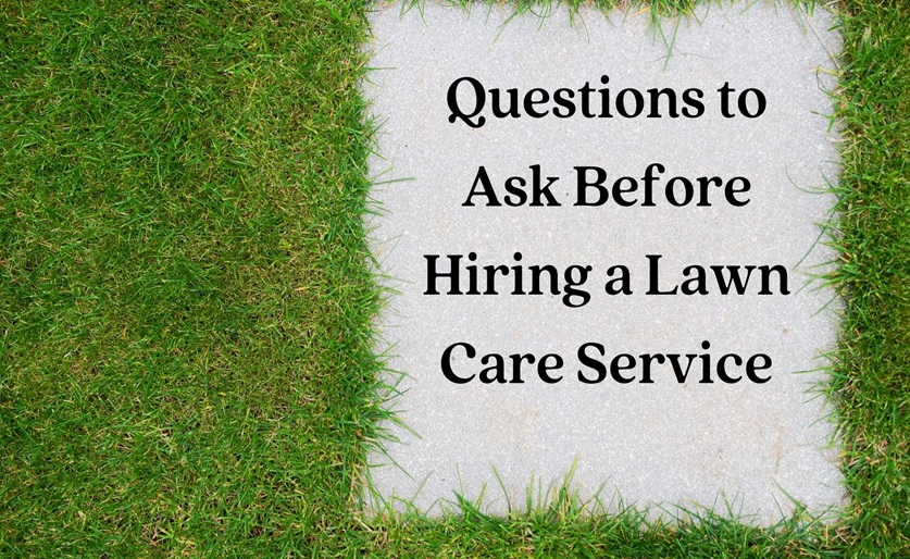 Questions to Ask Before Hiring a Lawn Care Service