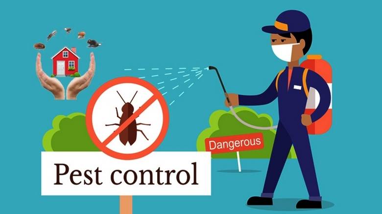 Here’s why professional pest control matters for your home