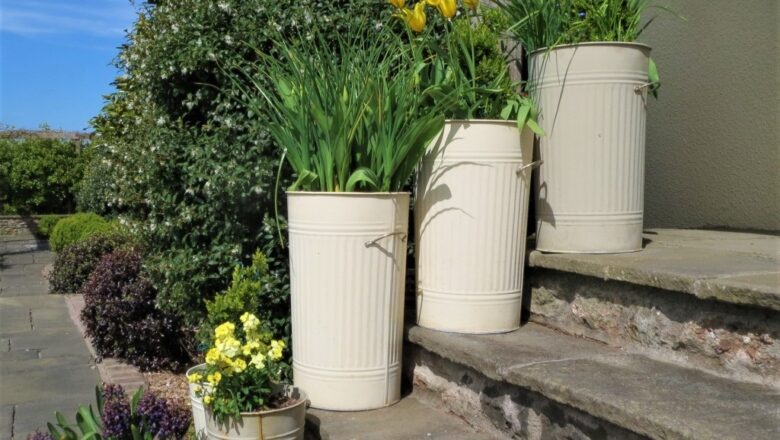 Top Creative Ways to Repurpose Your Old Skip Bin