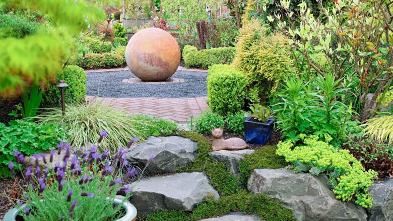 How to Design a Low-Maintenance Garden with Drought-Tolerant Plants