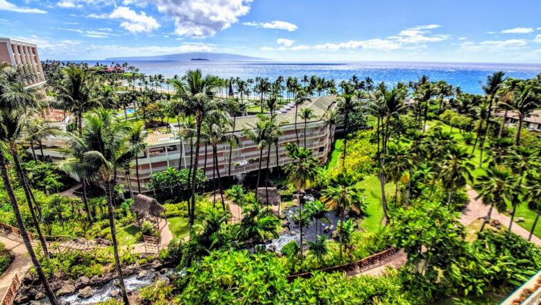 The 7 Very Best Things to Do in Wailea, Maui