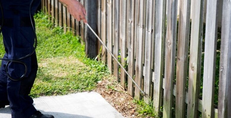 How To Get Rid Of Silverfish In Your Arlington Home