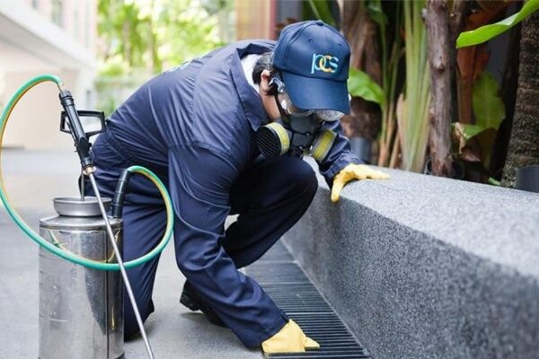 The Importance of Choosing a Licensed and Insured Pest Control Company
