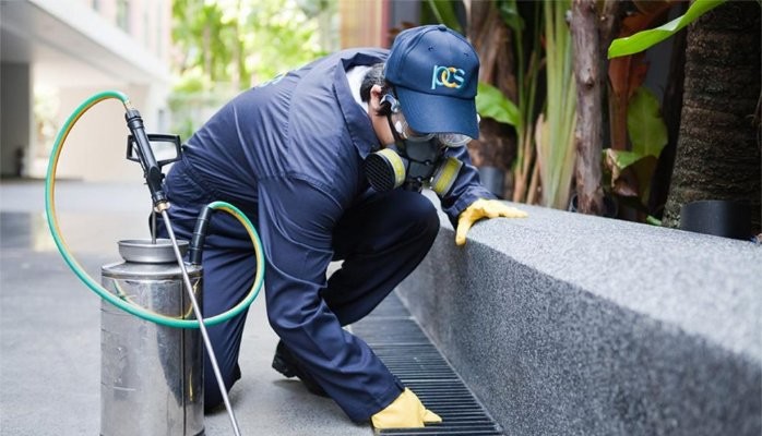 The Importance of Choosing a Licensed and Insured Pest Control Company