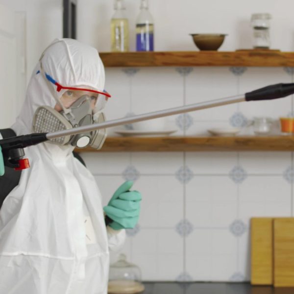 Commercial Pest Control: Defending Your Workplace from Pest Infestation