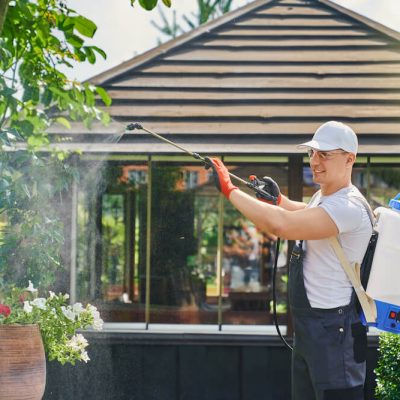Best Pest Control Practices for Homeowners in Buffalo Grove