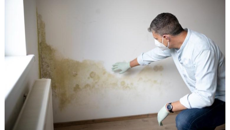 Wall Leakage Repair: Common Causes and Practical Solutions